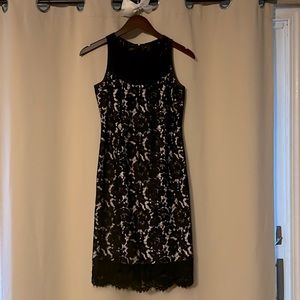 White house black market size 2, champagne/black lace dress